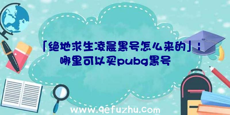 「绝地求生凌晨黑号怎么来的」|哪里可以买pubg黑号